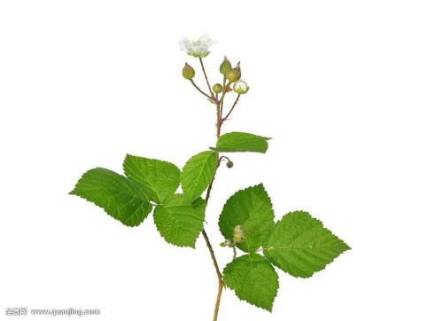 һ980!֣ݾһСթƭŻ